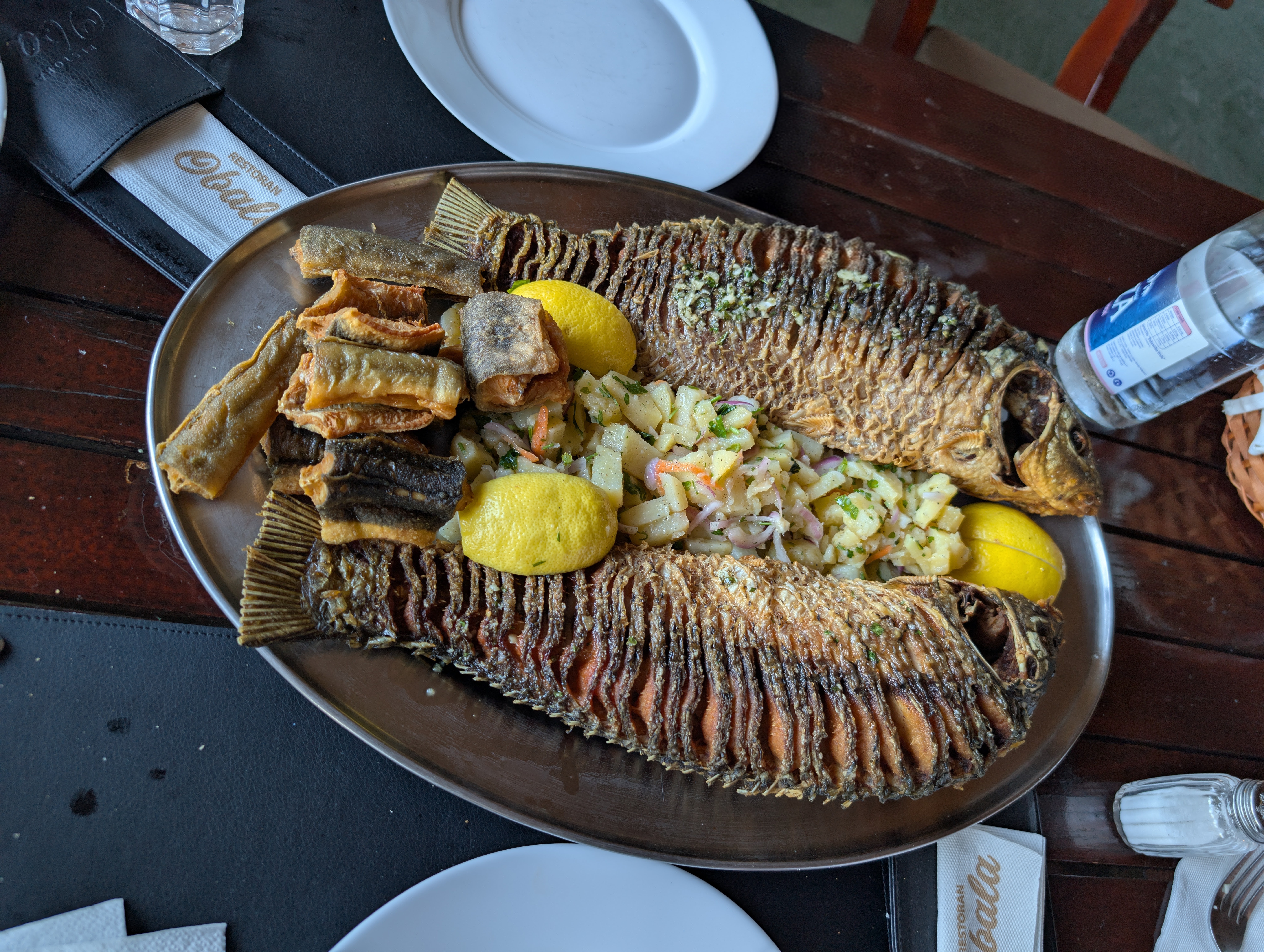 Carp and Eel, Zeta, near Skadar